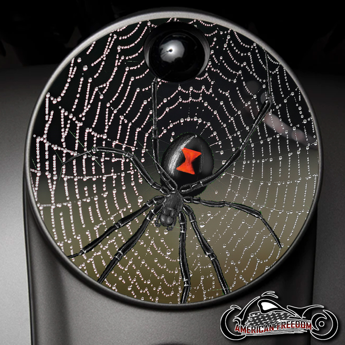 Custom Fuel Door - Spider On Web w/Dew
